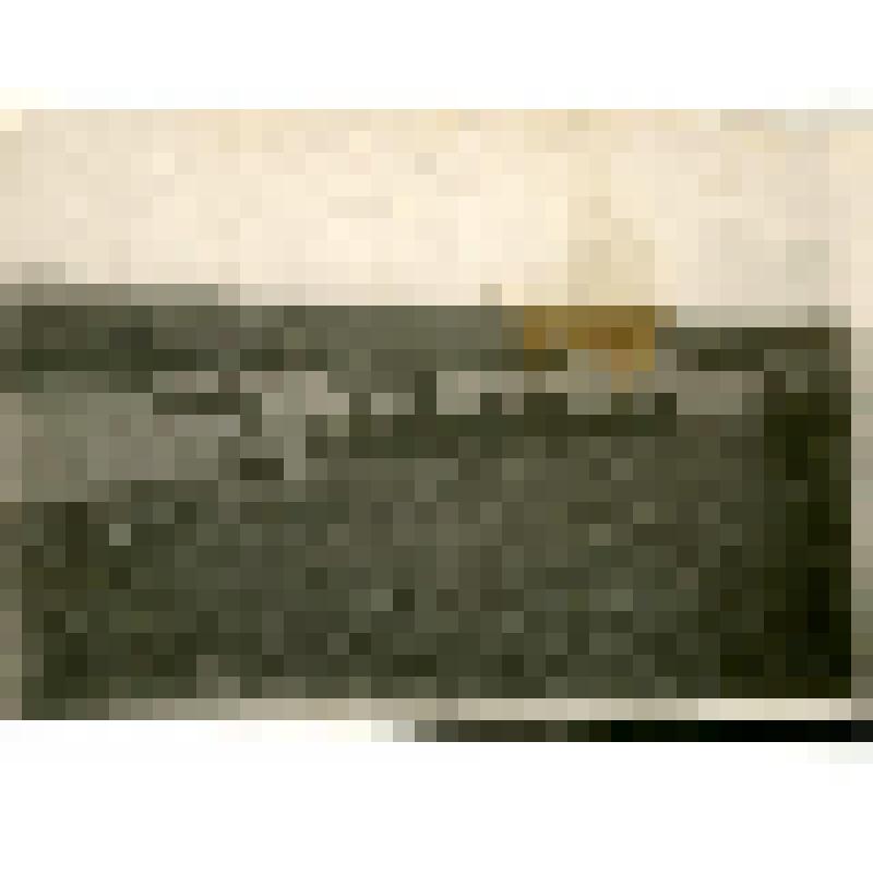 Фотография. Колымский караван у Кюсюра и самолет