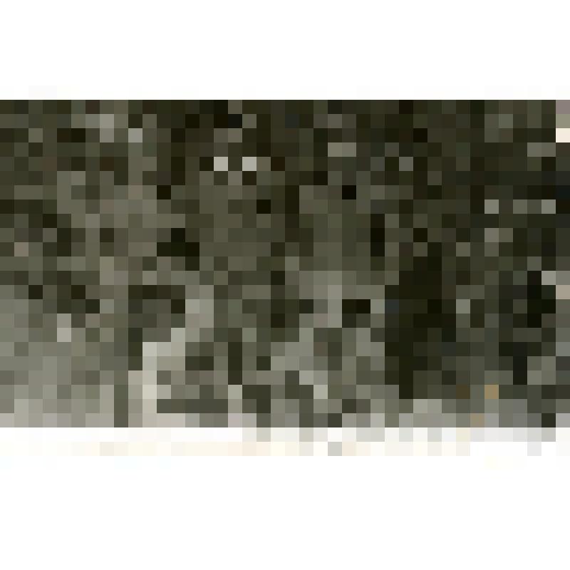 Младший сержант Голубов К.В. с сослуживцами