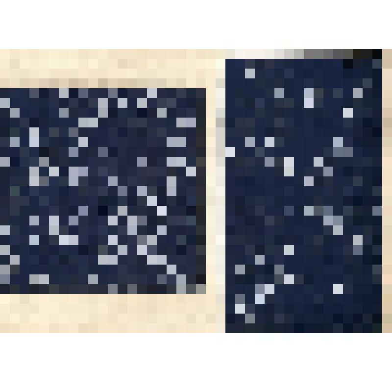 Зарисовка образцов набойки. Из альбома зарисовок «Русская набойка XVIII -XIX века»