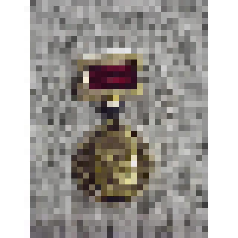 Нагрудный знак Н.И. Пирогова