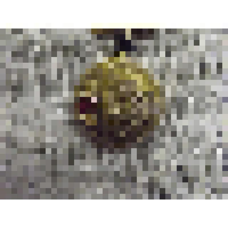 Нагрудный знак Н.И. Пирогова