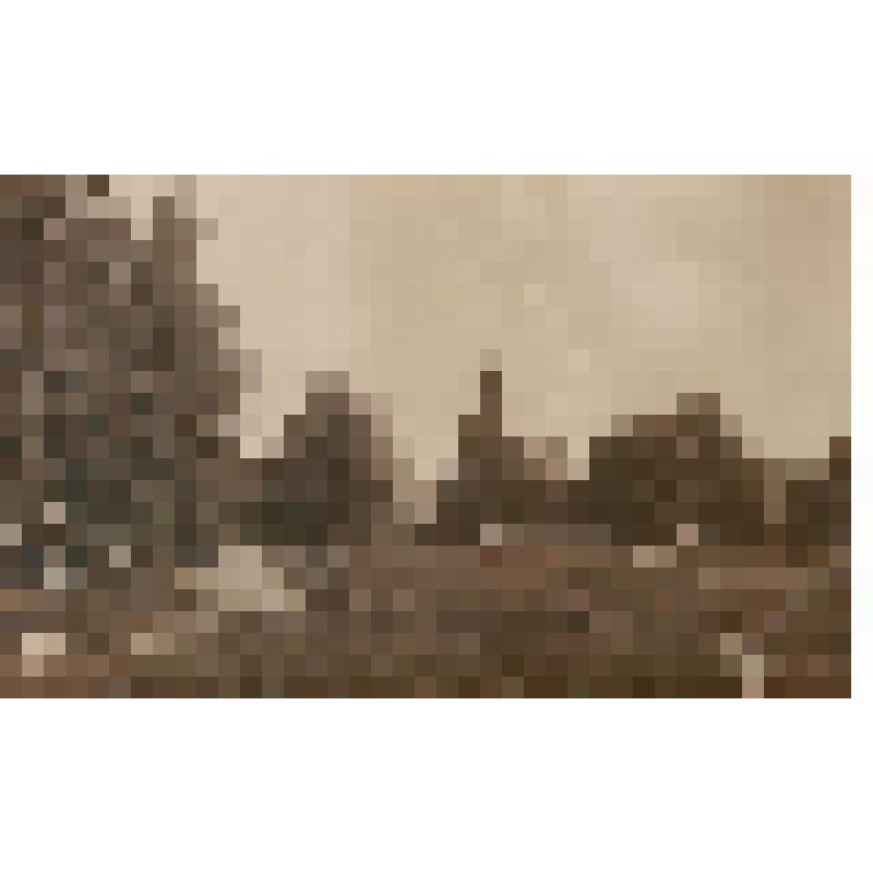 Открытка. Виды с. Шапокъ. Видъ на имѣніе. Из комплекта: Открытки с видами Шапок. Издание Якова Нермана