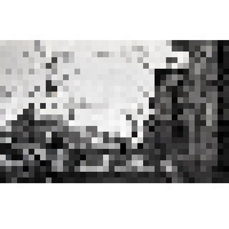 Негатив черно-белый "Улица Кирова от здания горисполкома в 50-е годы"