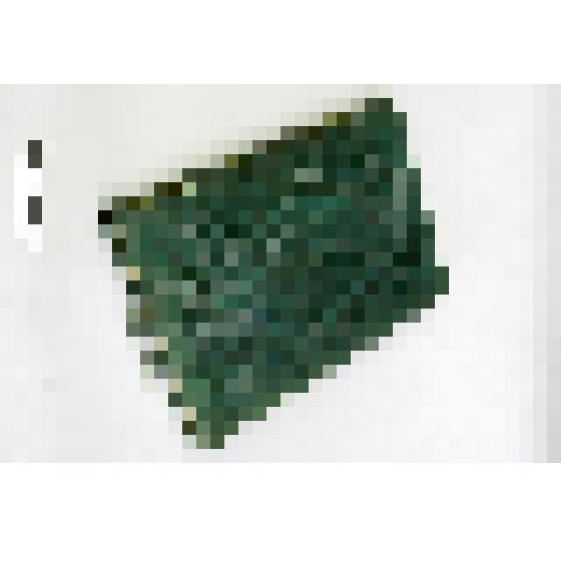 Продолжение свода законов Российской империи, изданного в 1857 году. Т. 3. № 2: С 1 апреля по 30 июня 1859 г. Книга