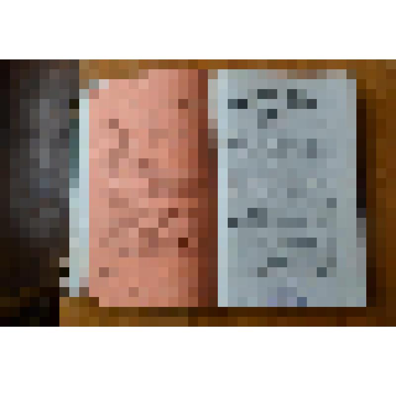 Журнал. Вестник Европы--май 1874.-СПб:тип. Стасюлевича,1874