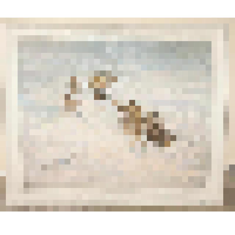 Эскиз. "Пурга на Амуре"