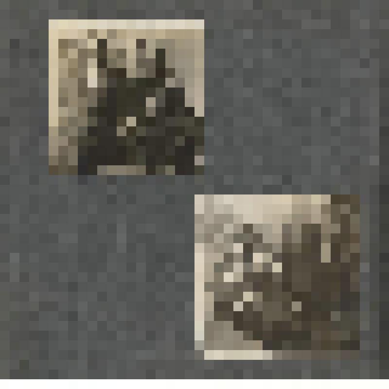 Лист из фотоальбома. Фотоальбом Н. Н. Кудаш, в замужестве Жаровой. Годы учебы в русской гимназии в Моравской Тршебове. Лист 6. На 1 странице - фотография алтаря [местной] церкви и пейзаж окрестностей. На обороте листа - две  фотографии: Н.Н.Кудаш с двумя