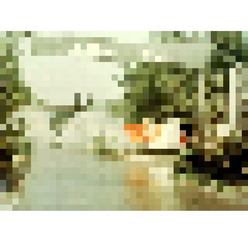 Фотография. Утренний "туалет" территории Белгородского комбината асбестоцементных изделий