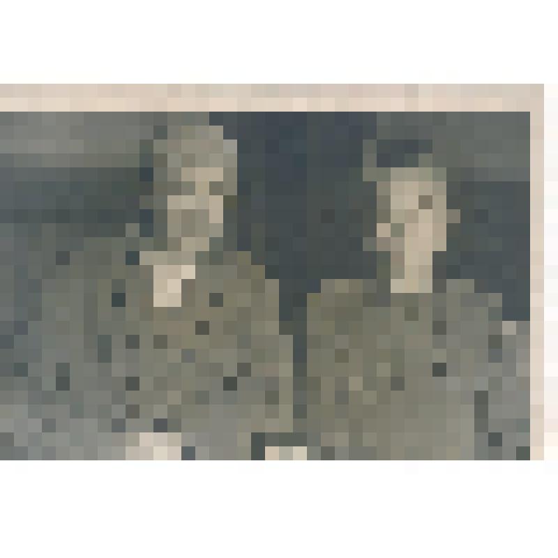 Фотография групповая. Львов Владимир Леонидович и выздоравливающий боец