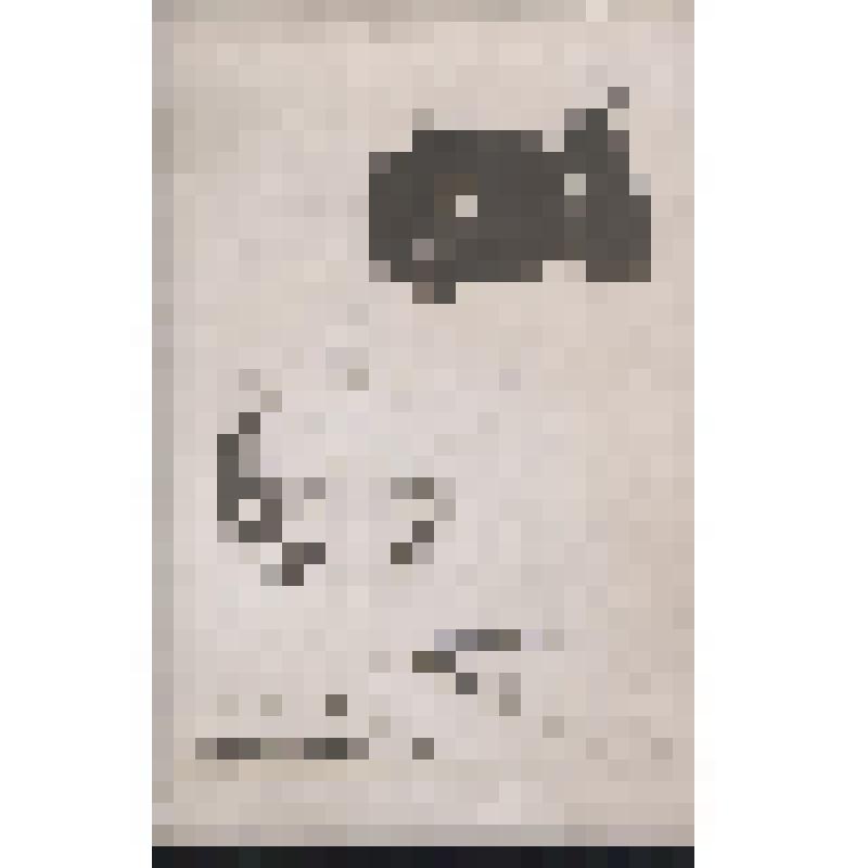 "Конституция"