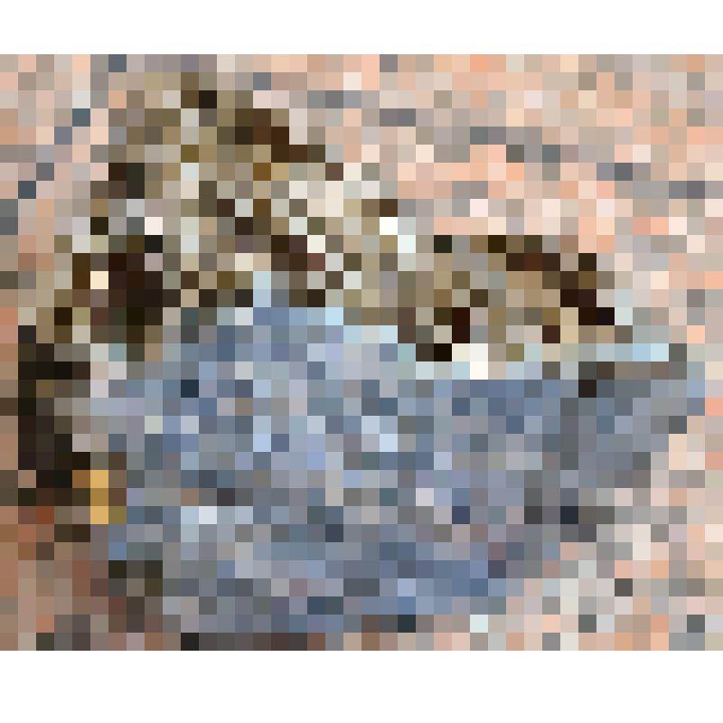 Храм в скале