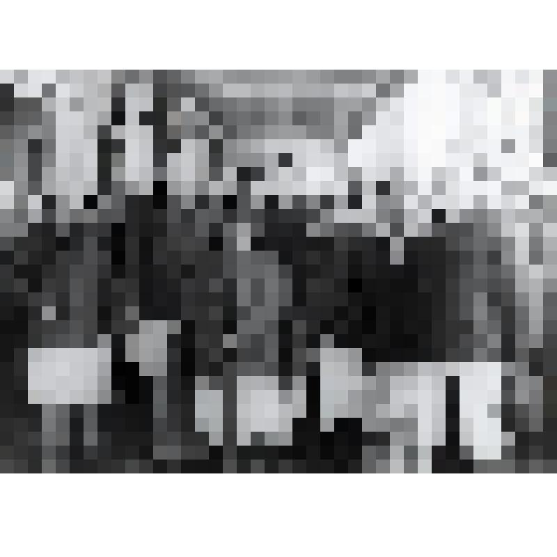Фотография. Делегация муниципалитета г.Плимута (Великобритания) с работниками холодильника