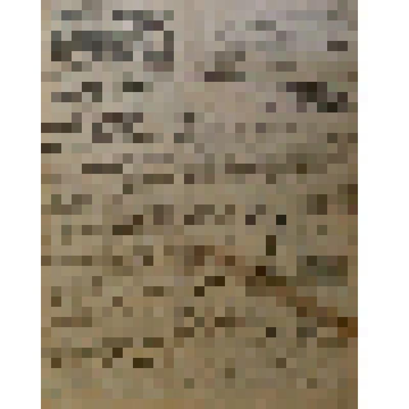 Газета "Красное Прикамье"  №183  за 1924 год