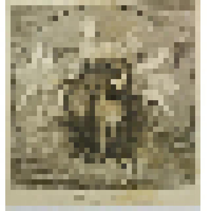 Аллегория Теологии (по рисунку Бернардино Нокки с живописи Рафаэля Санти)