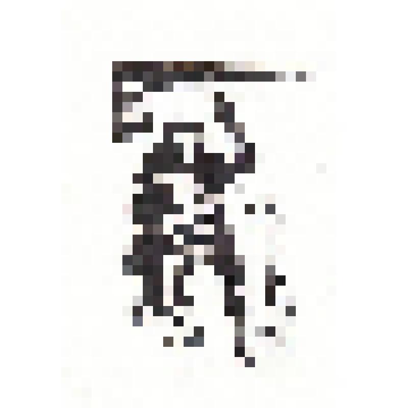 Экслибрис "Ex Libris С."