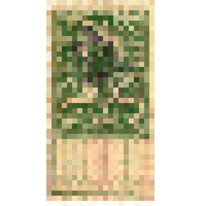 Марки почтовые. Гербовая марка 75 коп. (зеленый) с изображением короны Российской империи