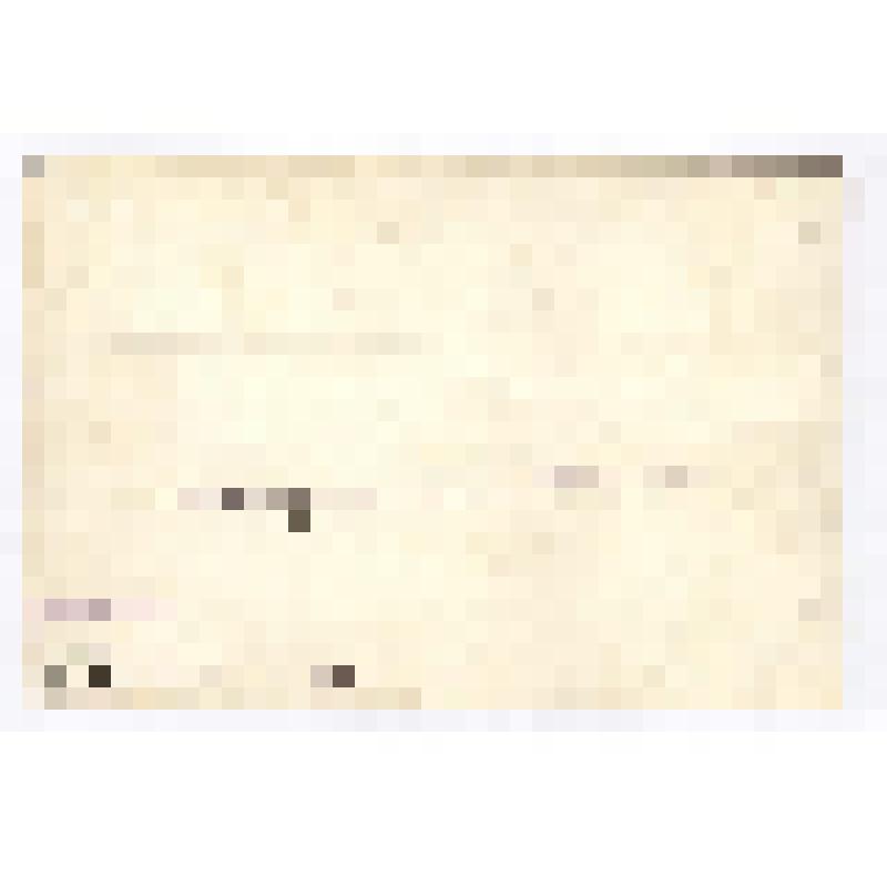 Фотография групповая. Офицеры 979 полка