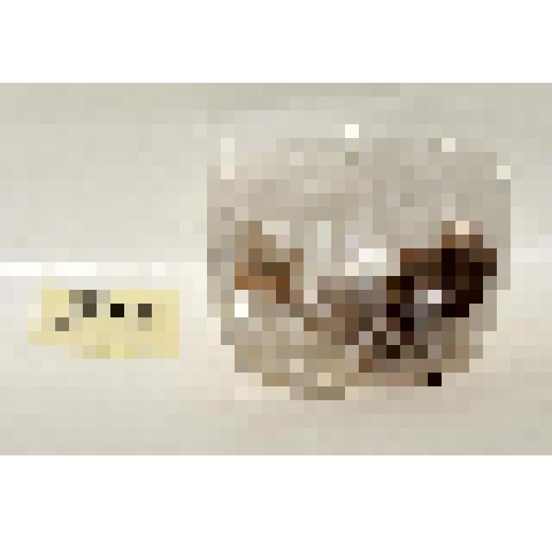 Оконница (фрагмент)