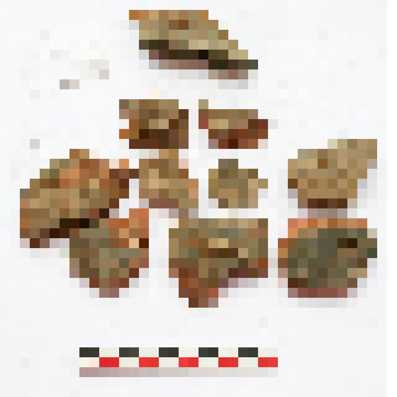 Фрагменты красноглиняного лепного сосуда