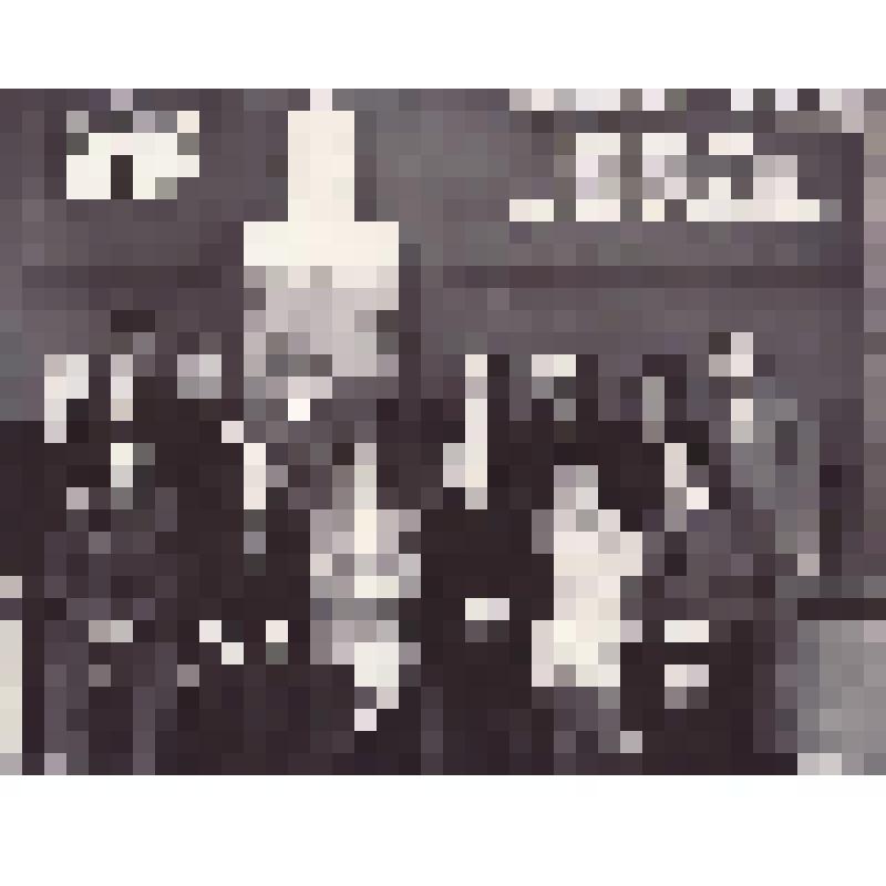 Фотография черно-белая. Сотрудники  МВД по г. Братску