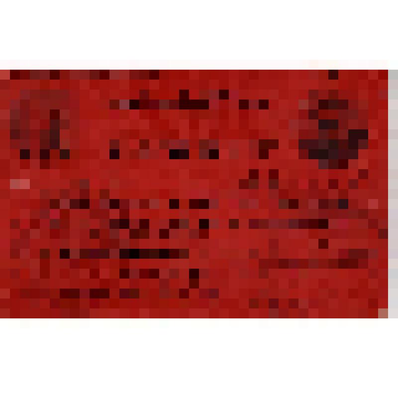 Мандат N 389 т. Андреева Т.А. - делегата XVII съезда ВКП(б)