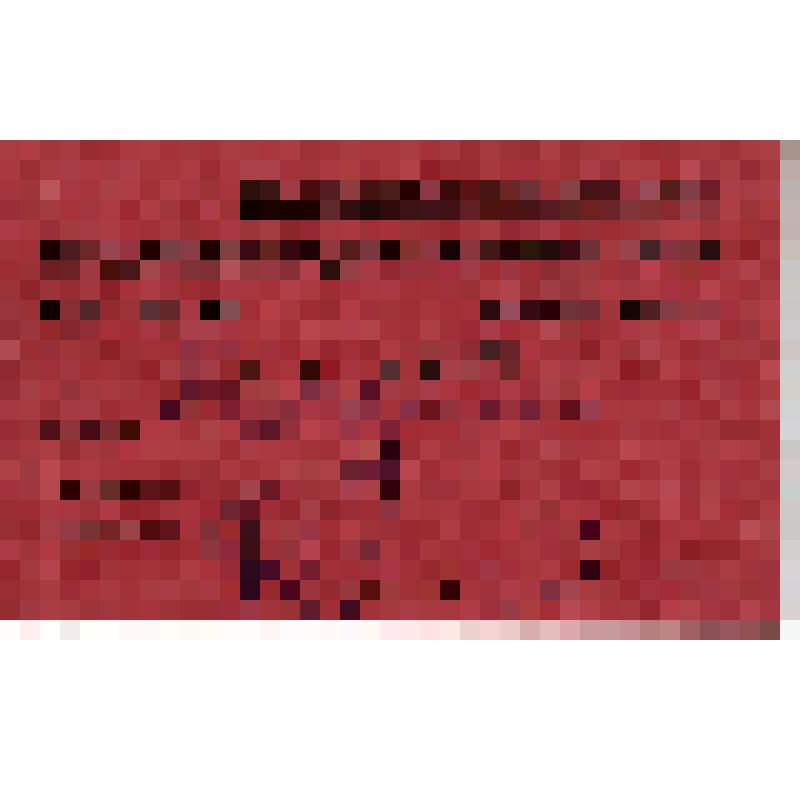 Билет N 292 фракции РКП(б) VIII Всесоюзного съезда рабочих металлистов Кайгородову М.В