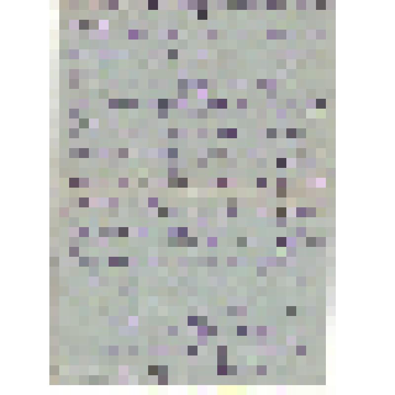 Письмо военного времени. 02.12.1941 г