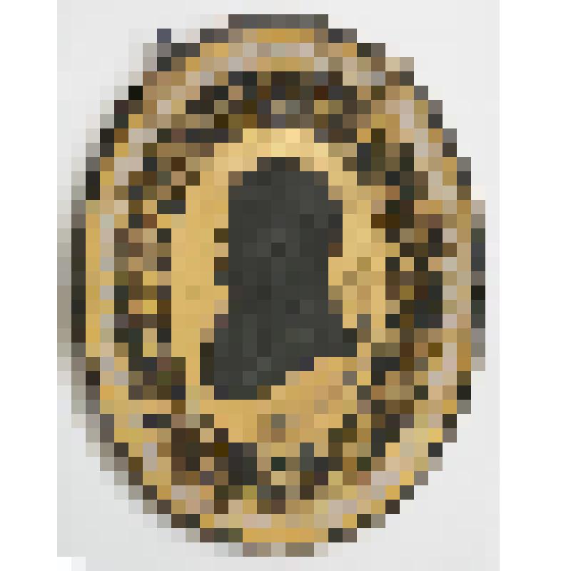 Миниатюра. "Мужской портрет в овале в окружении рамки растительного орнамента"