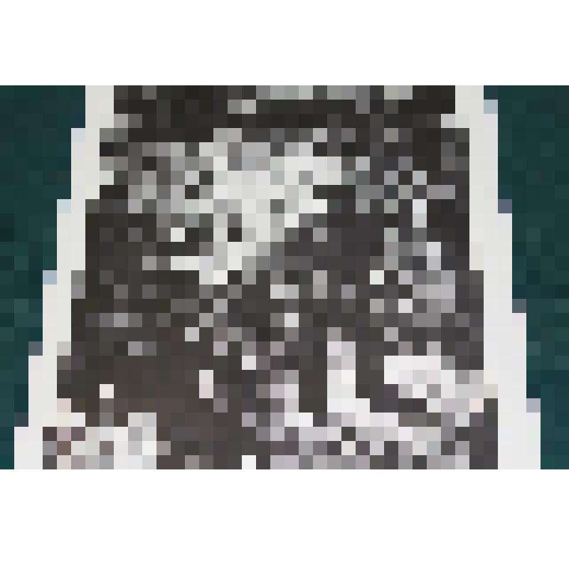 Линогравюра "Партизаны поджигают продовольственный склад"