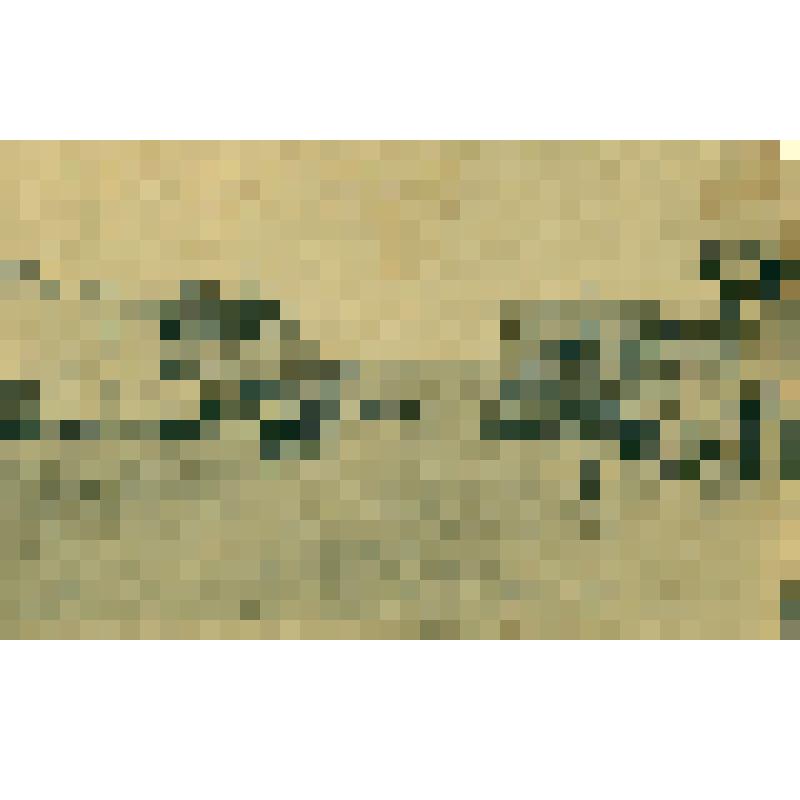 Открытка черно-белая. «Великий Сибирский путь. Красноярк. Театральная улица»