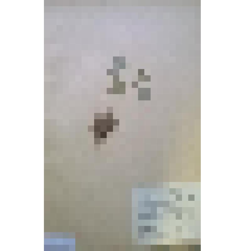 Гербарный лист Фиалка лысая (кочкарная) Viola epipsila Ledeb.
сем. Фиалковые Violaceae. Свердловская область, Верхне-Салдинский район, окрестности поселка Тагильский Кордон; луг