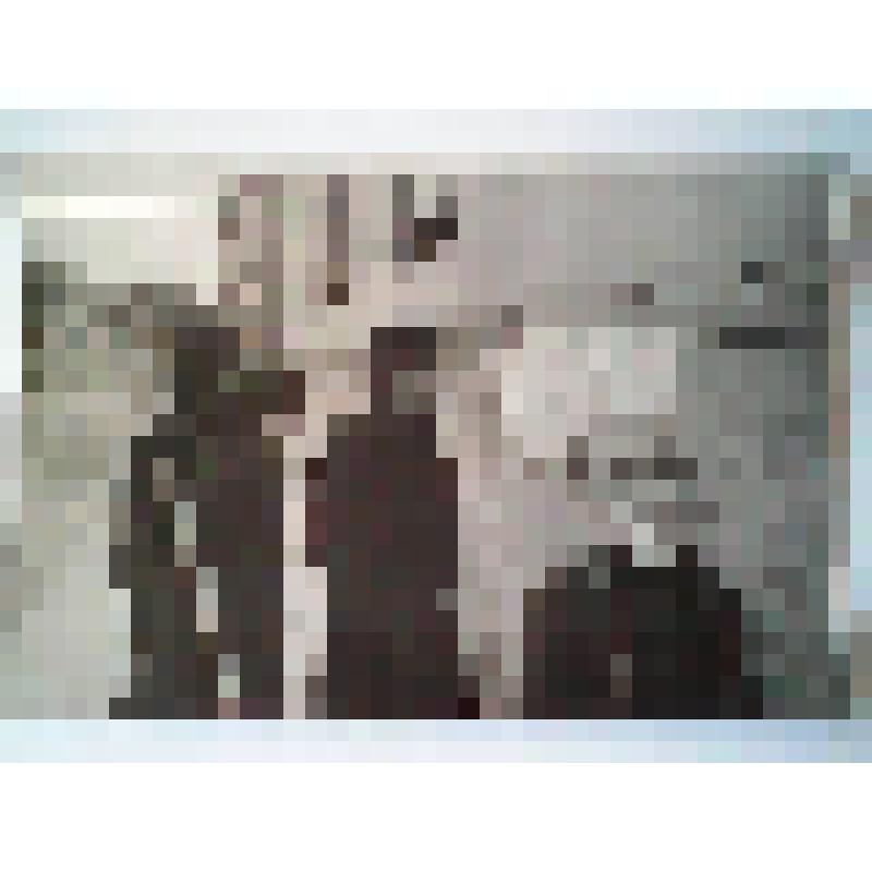 Фотография – немцы читают объявления советского коменданта