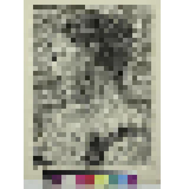 Женская головка, гравюра