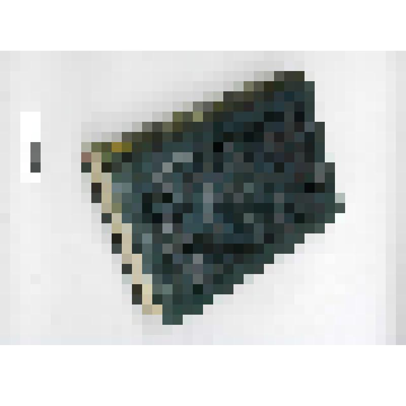 Свод законов Российской империи, издания 1857 года. Т. 8. Ч. 1. Книга