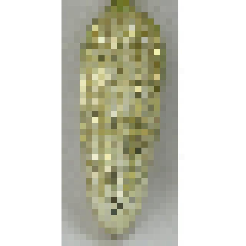 Игрушка елочная "Кукуруза"