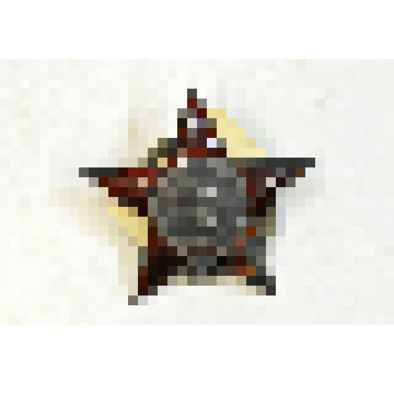 Орден "Красная Звезда"  № 314858. СССР.
Серебро, эмаль, металл, чеканка.
Орден Красной Звезды представляет собой покрытую рубиново-красной эмалью пятиконечную звезду