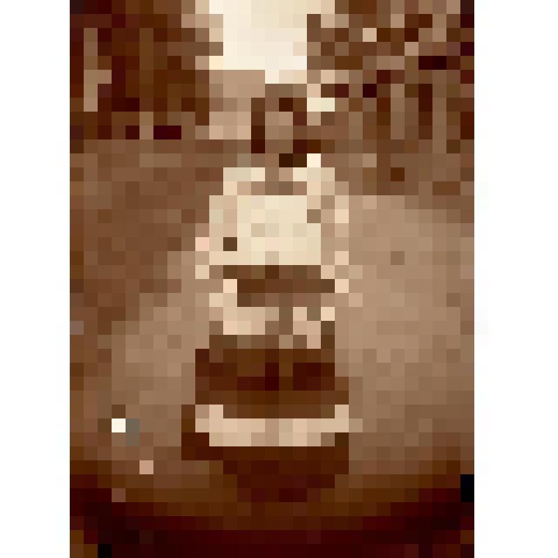 Негатив на стеклянном носителе. Портрет замужней крестьянки. Русские