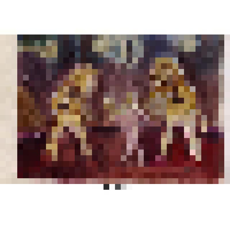 Львы. Рисунок