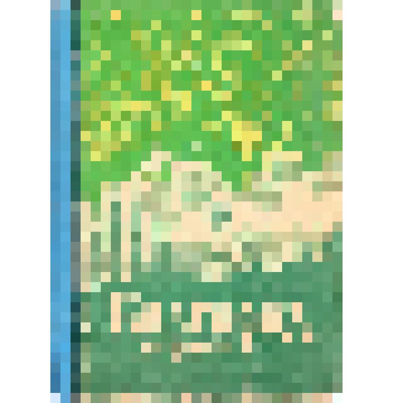 Книга. Белгород