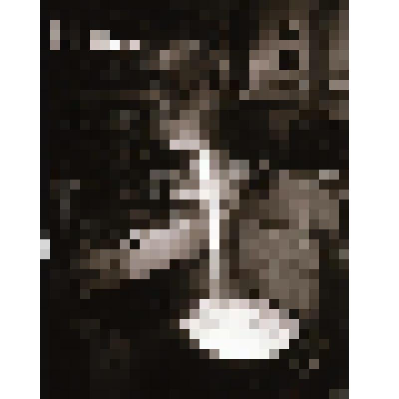 Фотонегатив  сюжетный. Первая сталь на Дальневосточном передельном металлургическом заводе г. Комсомольска-на-Амуре