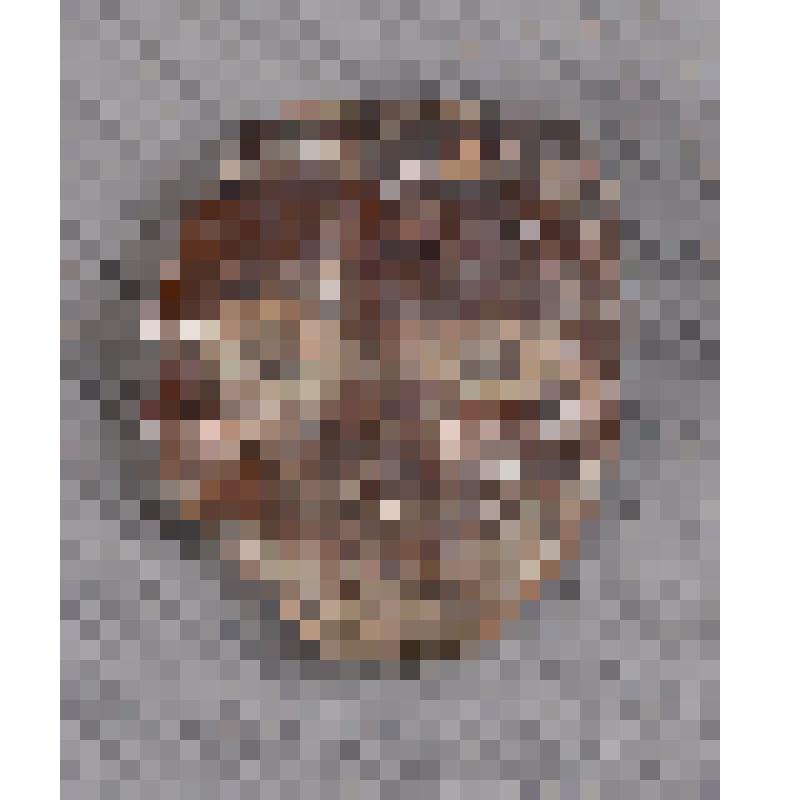 Изразца рельефного полихромного фрагмент. Хутынский монастырь