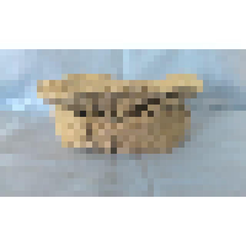 Пуштунка (паколь) - традиционный мужской головной убор в горных районах Афганистана