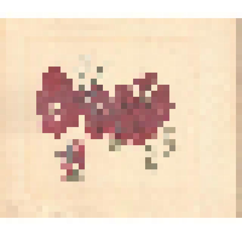 Литография. Заросли карликовой березы