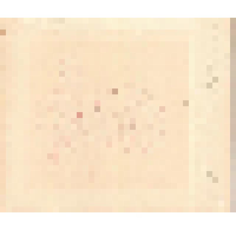 Литография. Заросли карликовой березы