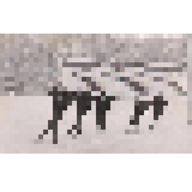 Фотография тренировочного забега конькобежцев, членов сборной области на сборах в г. Обнинске, на стадионе "Труд"