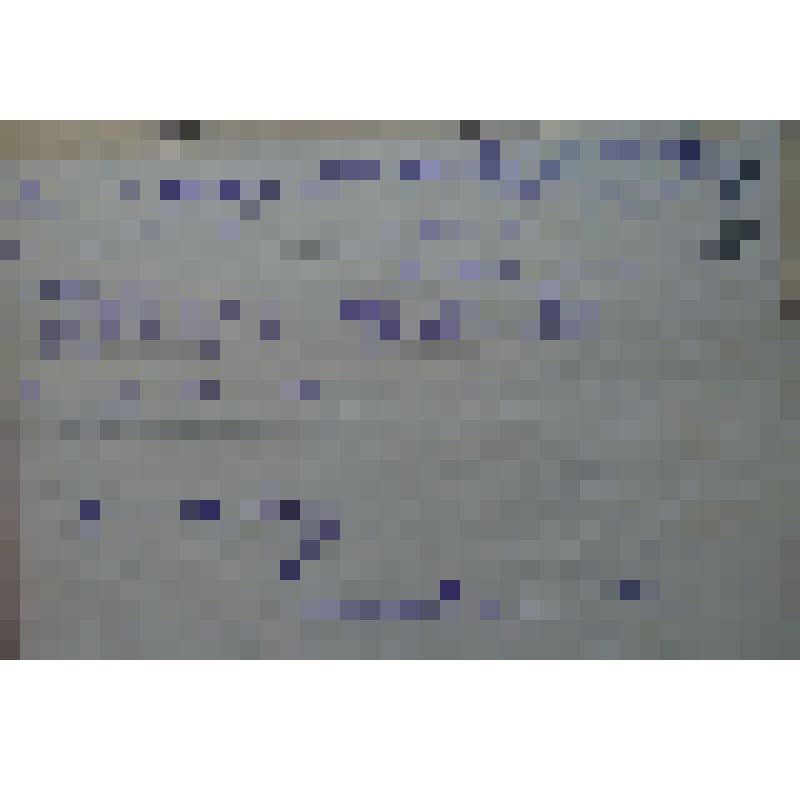 Справа Артели "Имени 12 Годовщины Октября" Кушвинской райинспектуре о наличии топлива в организации