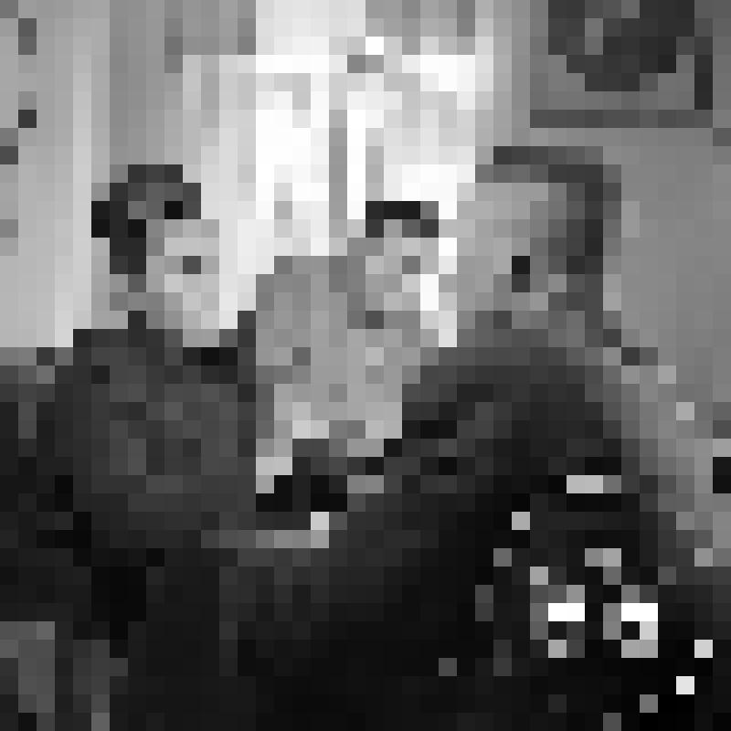 Негатив. Кранина Лидия Васильевна, бригадир виноградарей совхоза "Золотая балка", орденоносец, депутат городского Совета депутатов трудящихся