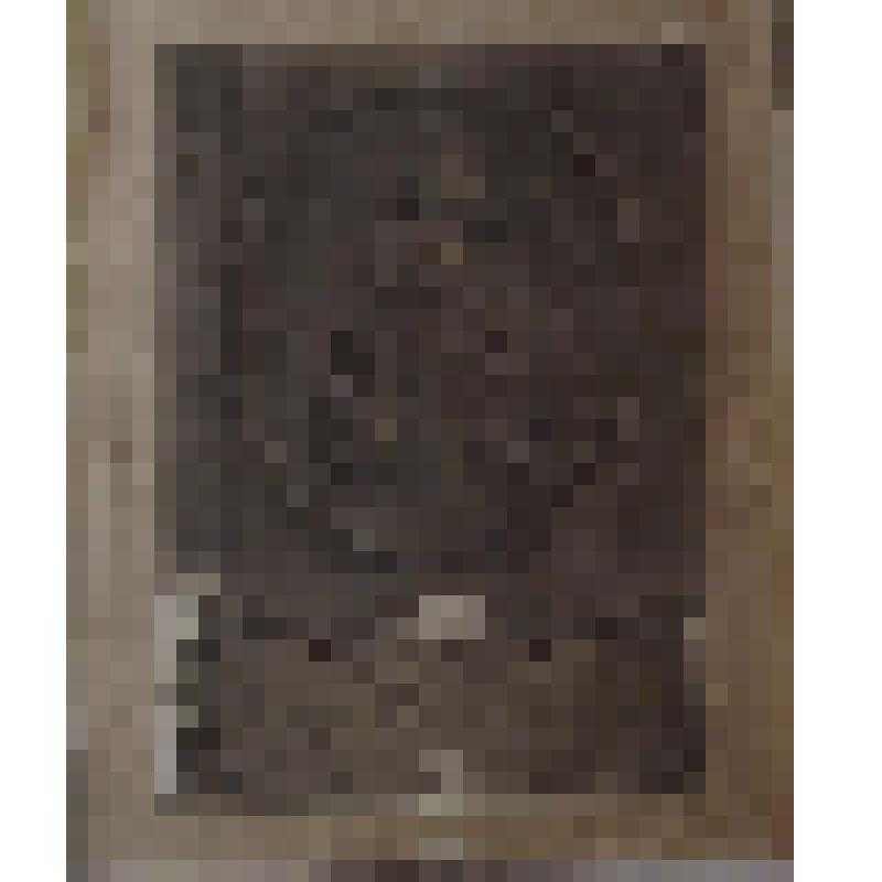 Алексей Михайлович - царь и самодержец Всероссийский (1629-1676). Эстамп