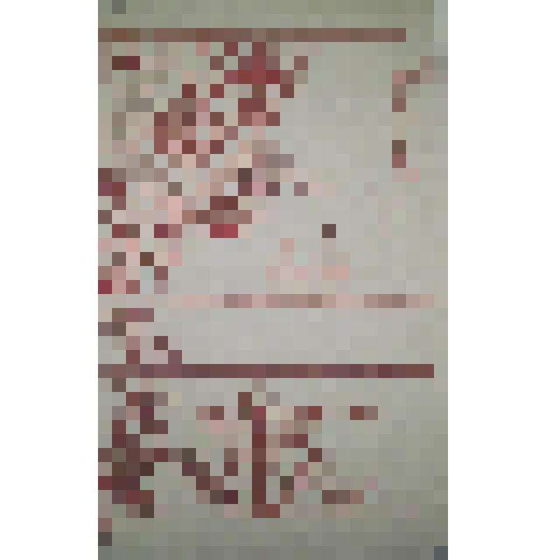 Проект орнамента народной вышивки. Рисунок