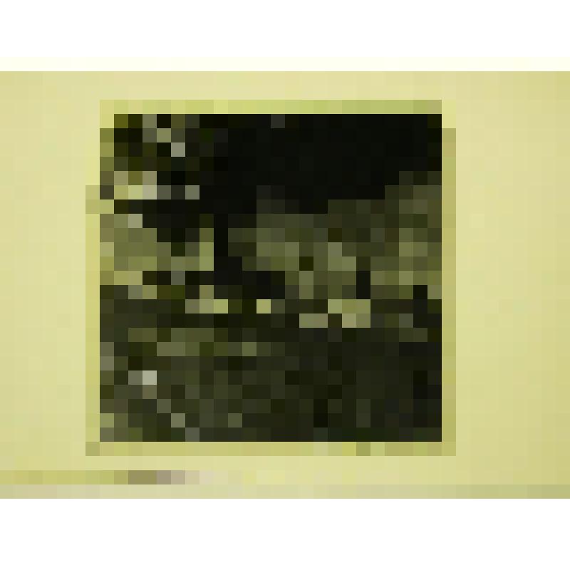 Городской сквер с фонтанами. Литва, г. Клайпеда. Городской сквер с фонтанами. Общий вид